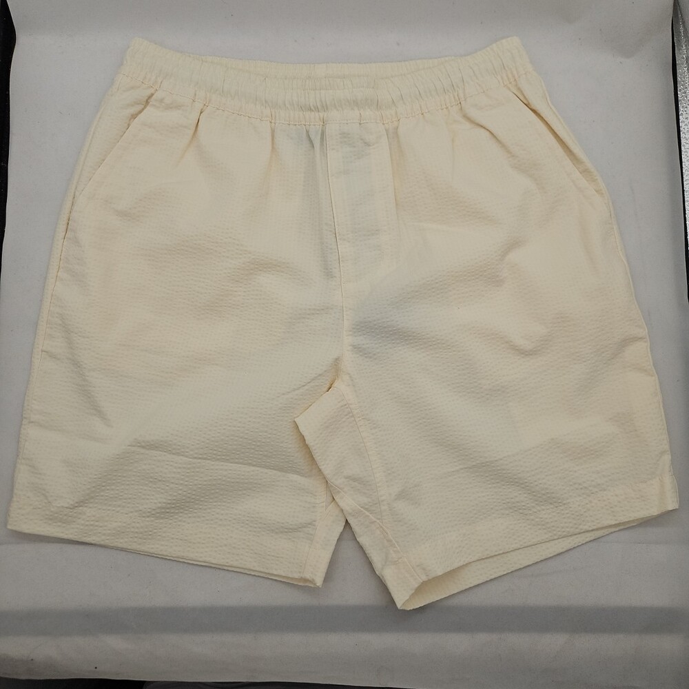 NWT Men’s Nike SB Skateboarding Shorts CW7139-113 Size Small